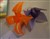 9 DSC00102.JPG